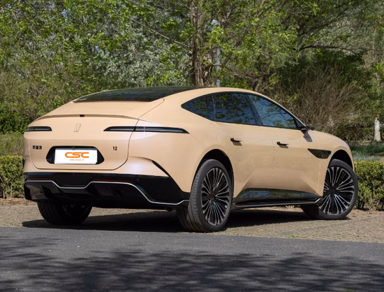 Ora Ballet Cat 500 km La Bella Addormentata/Cigno Mancanza di Veicoli Elettrici Carina e piccola Berlina per Signore