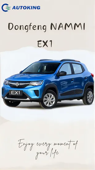 Veicolo elettrico Auto elettrica Dongfeng Marca Ex1 SUV