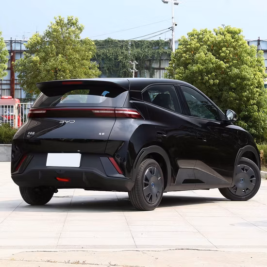 Buon prezzo Cina Mountain Veicolo elettrico Auto nuove Mini Car Byd EV
